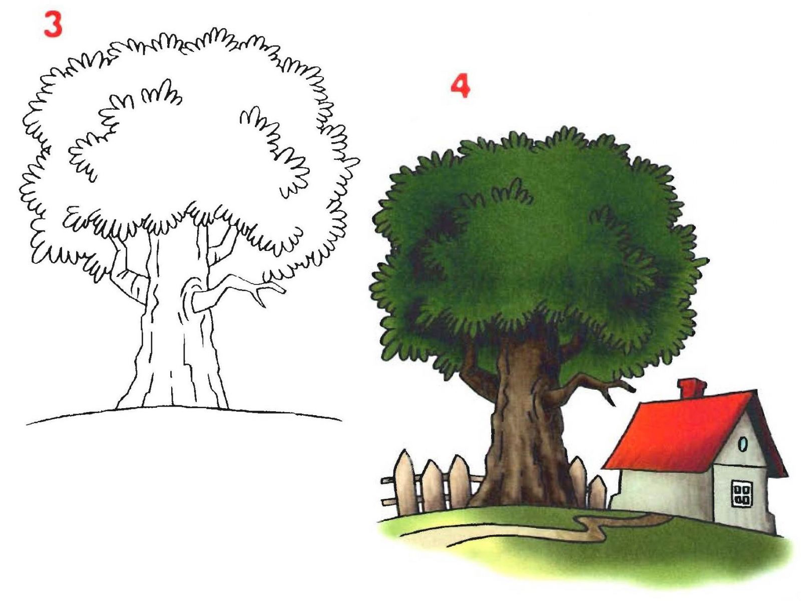 Урок-схема рисования карандашом - дерево